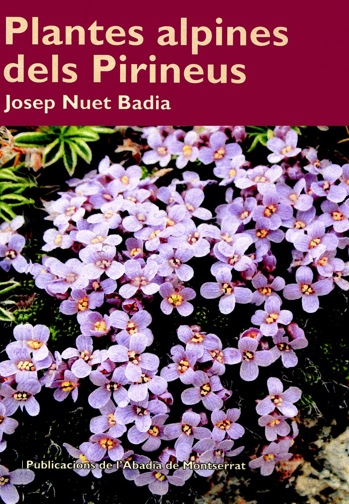 Josep Nuet i Badia