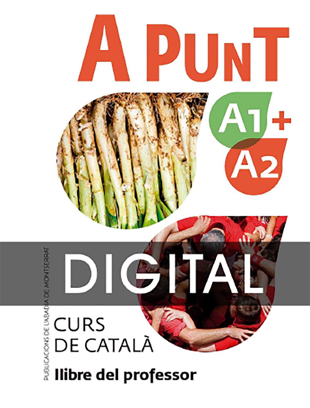 A punt A1+A2. Curs de català. DIGITAL PROFESSOR